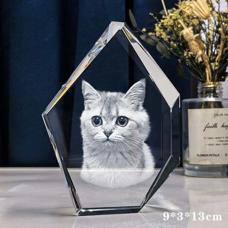 Cristal 3D personnalisé avec photo de votre animal – Souvenir lumineux et éternel | Soulis Memorial